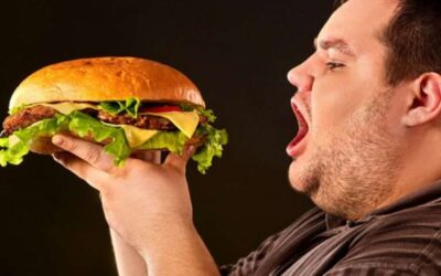 Diet and Obesity- how are they related?