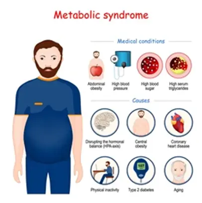 Obesity and Metabolic Syndrome