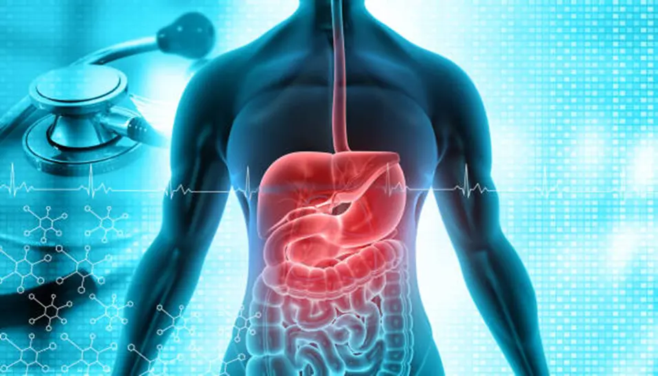 Endoscopy vs Upper GI 