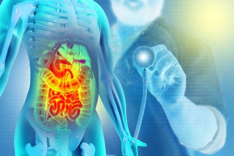 Transparent diagram of a human torso with highlighted digestive organs; a doctor in the background holds a stethoscope